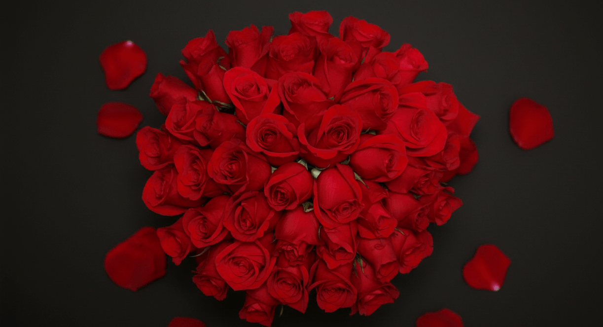 Black Friday Amorossa 2025 - AMOROSSA