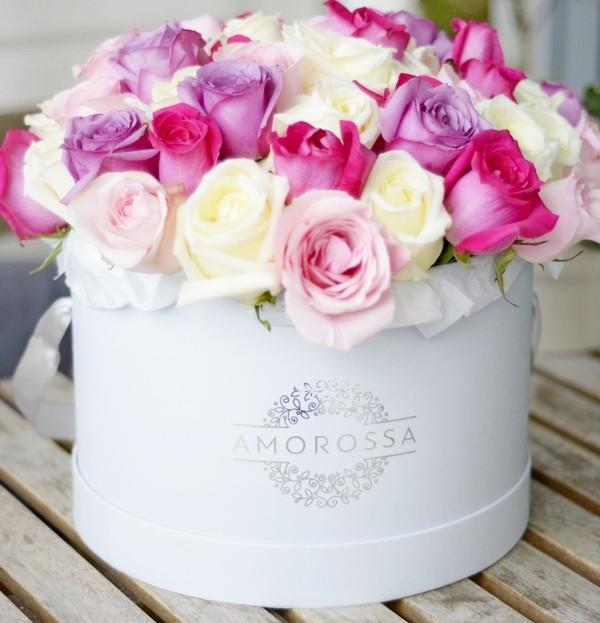 Cómo Cuidar Tus Rosas - AMOROSSA