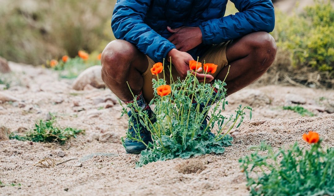 The Blooming Benefits of Giving Flowers as Gifts