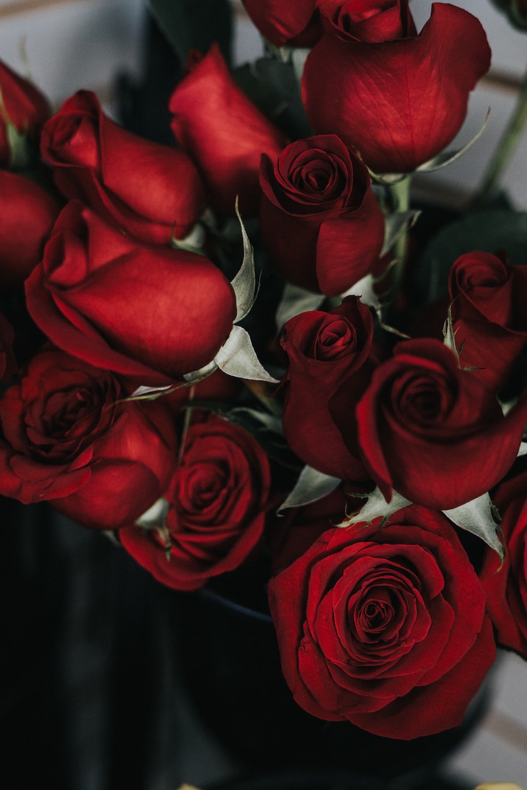 The Language of Love: The Best Flowers for a Romantic Gesture - AMOROSSA