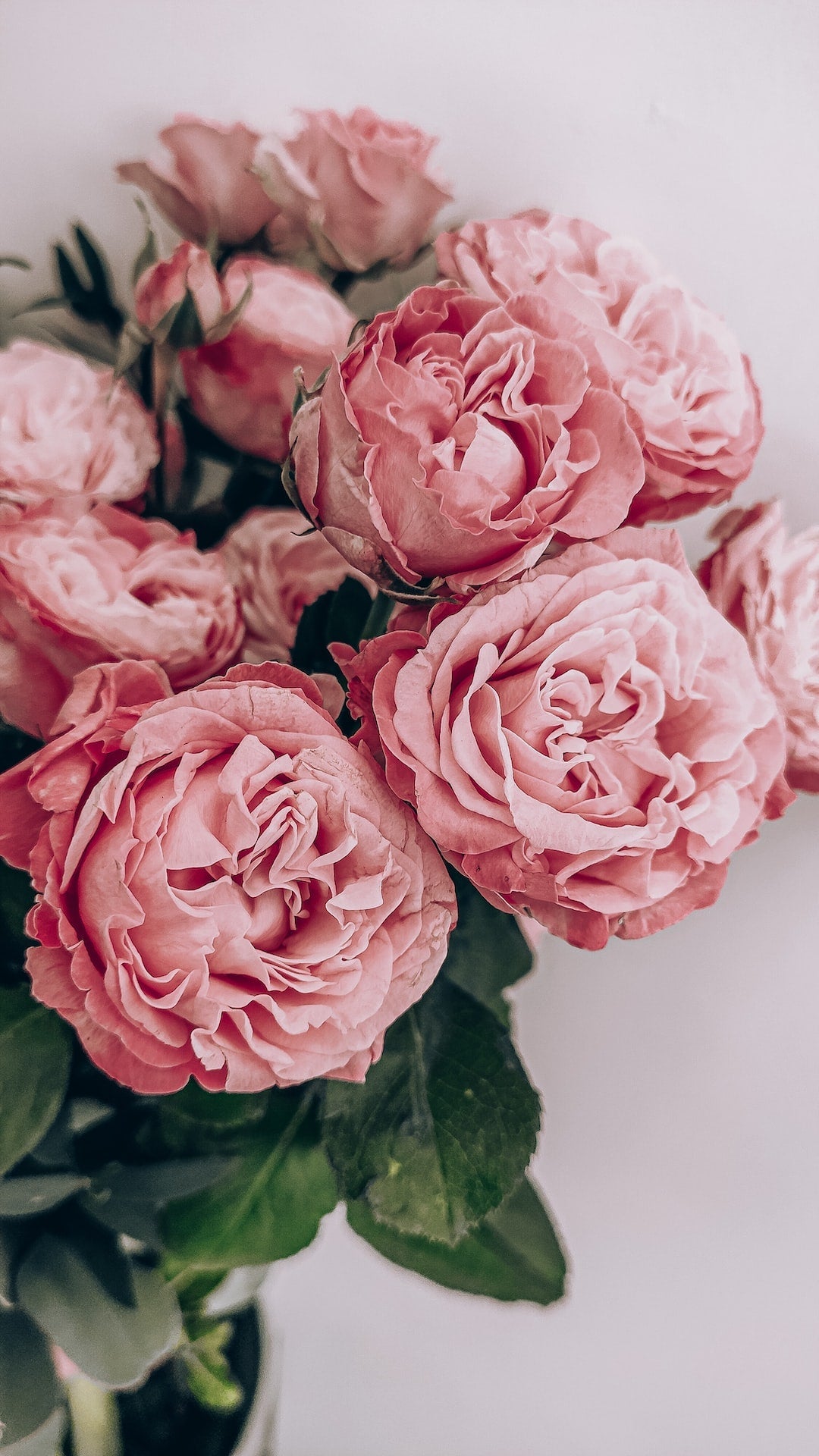 Tips for Keeping Your Floral Bouquet Fresh and Fabulous - Amorossa Fresh Flowers