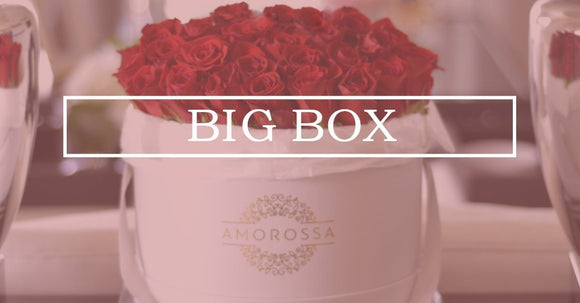 Big Box - AMOROSSA