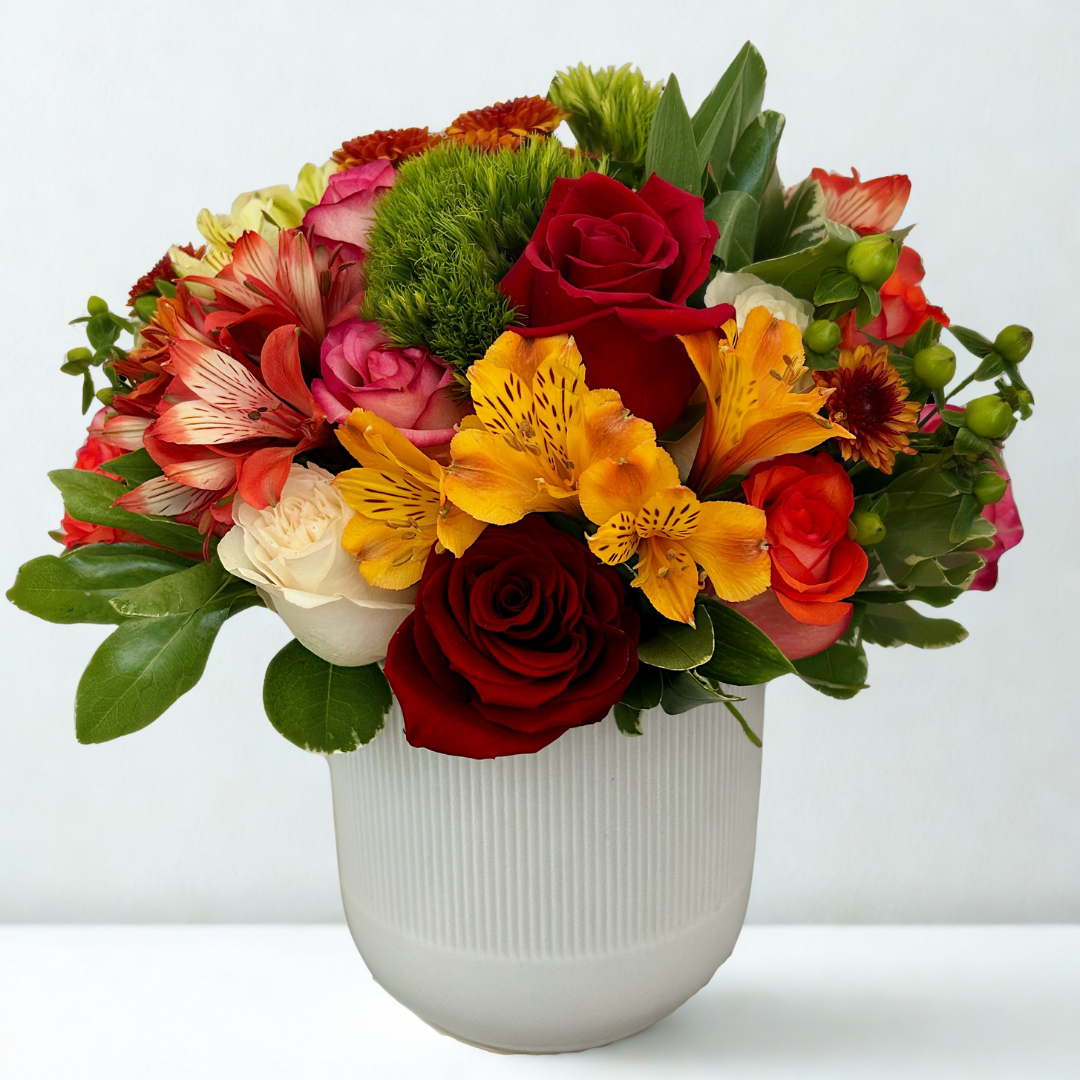 Celebration 24 - 2025 special edition