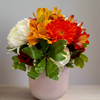 Carnaval 12 - Mothers Day Special Edition