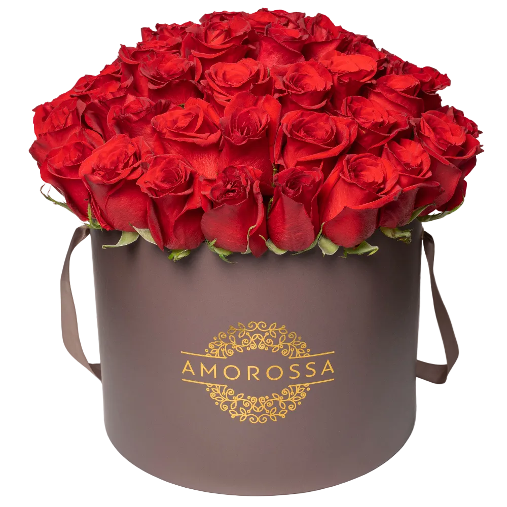 ADOM 48 - Brown Box