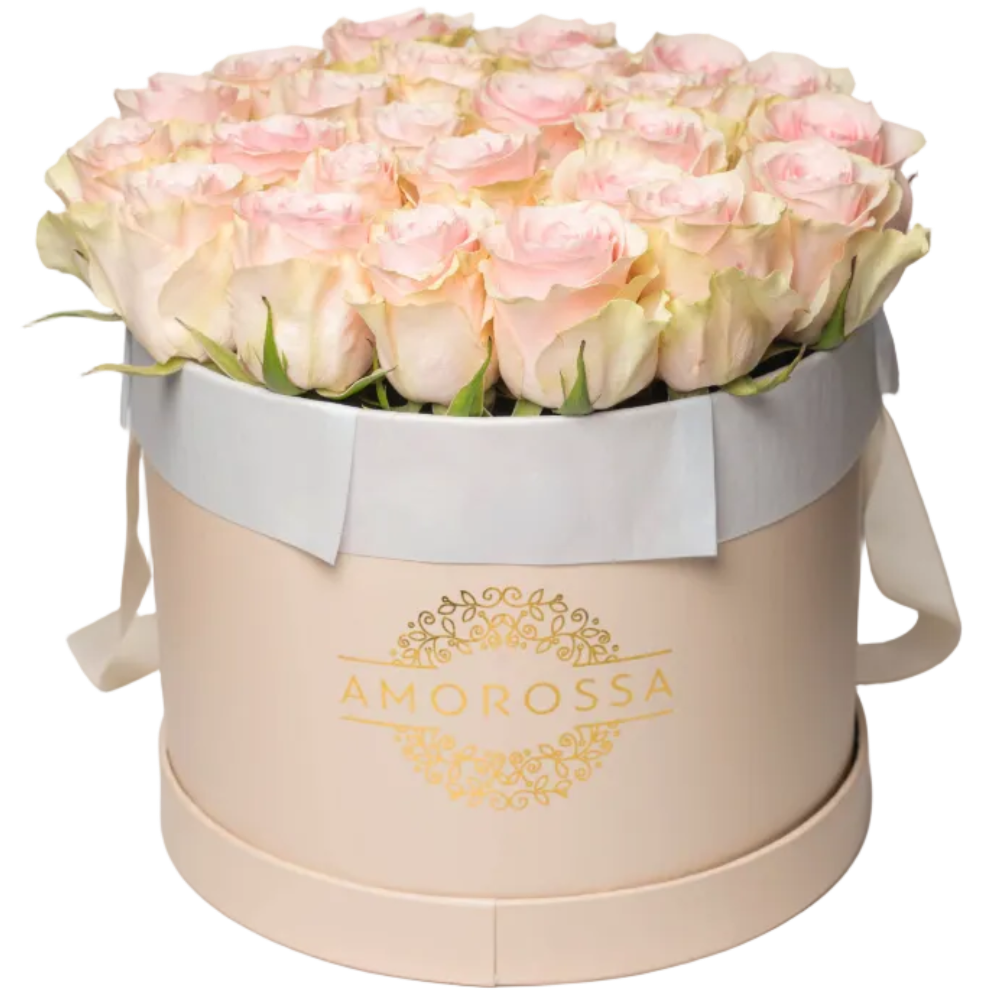 VAROD 24 - Cream Box