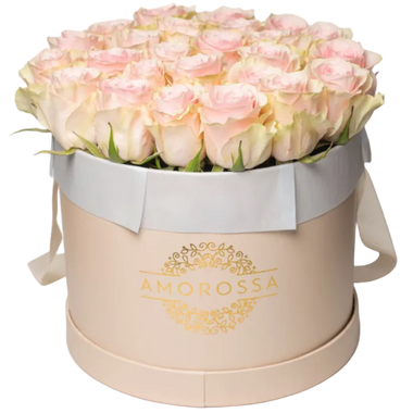 VAROD 24 - Cream Box