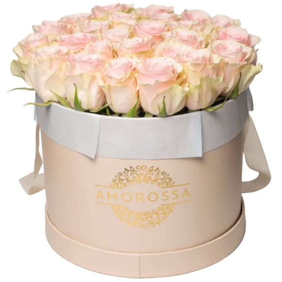 VAROD 24 - Cream Box