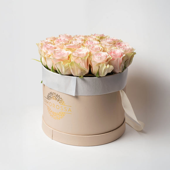 VAROD 24 - Cream Box