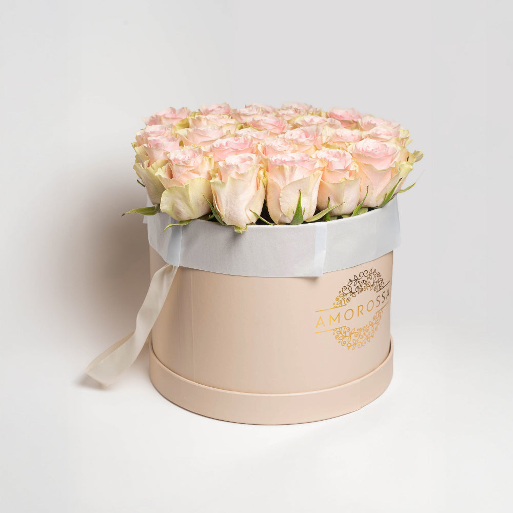 VAROD 24 - Cream Box