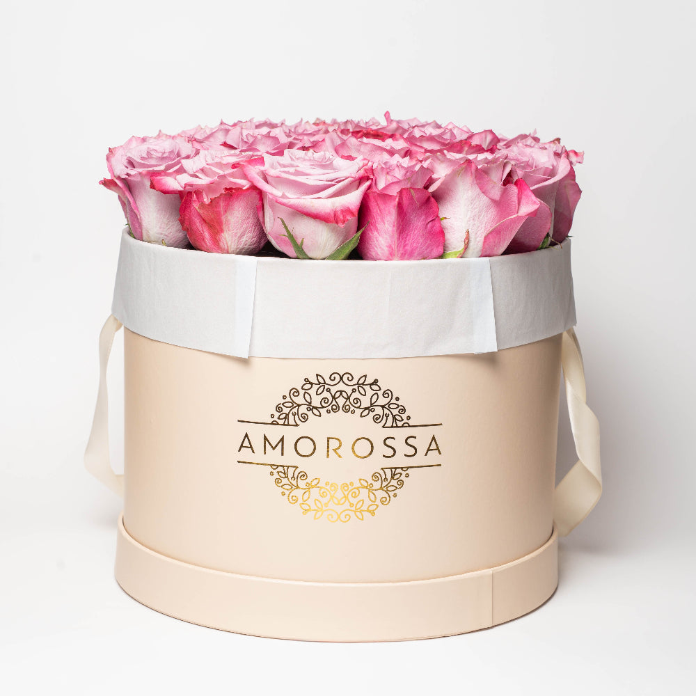 SAGOL 24 - Cream Box