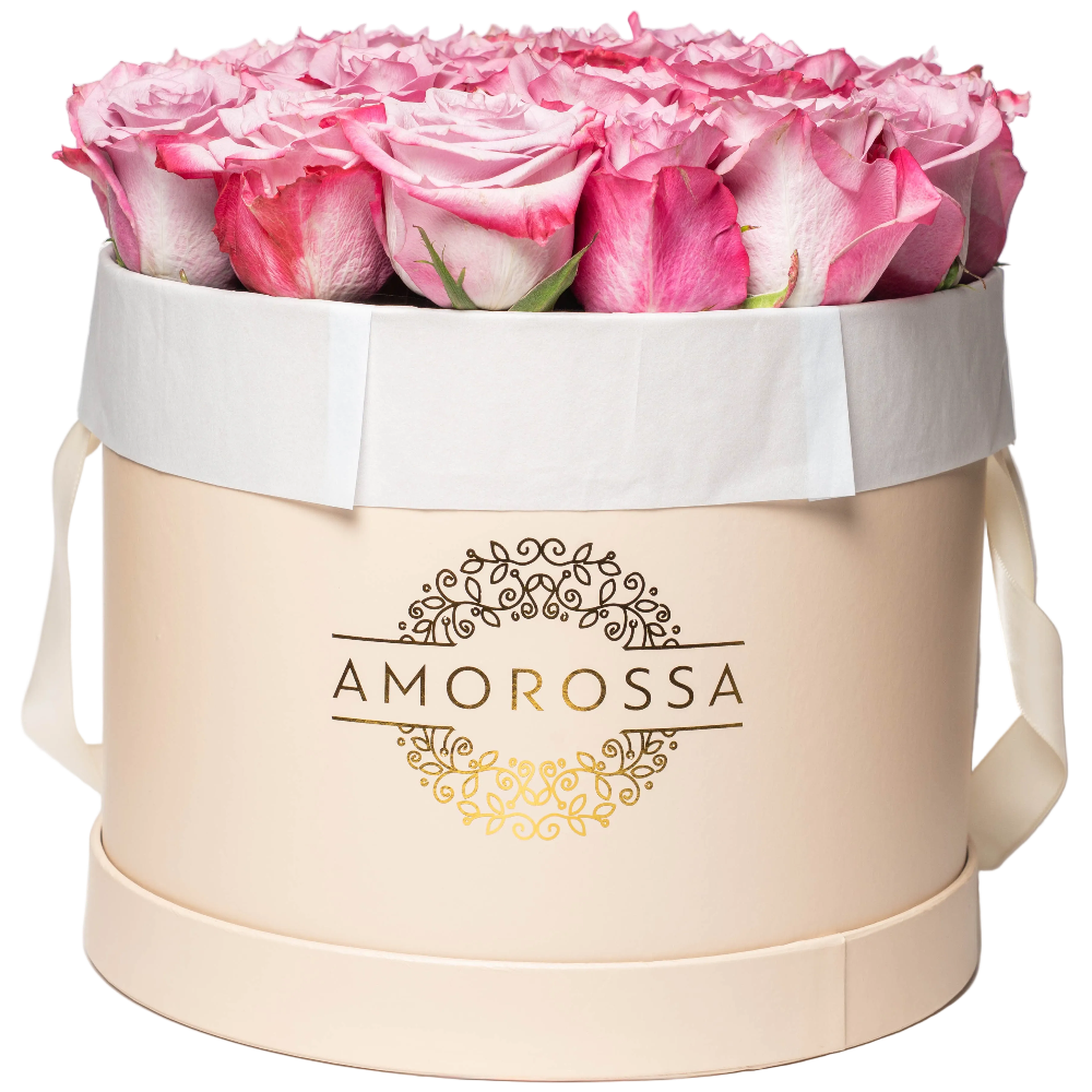 SAGOL 24 - Cream Box