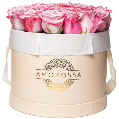 SAGOL 24 - Cream Box