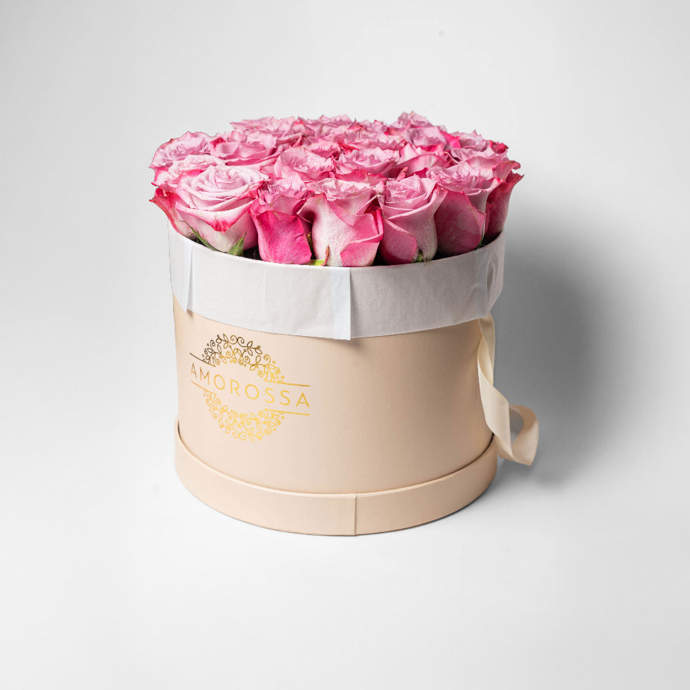 SAGOL 24 - Cream Box