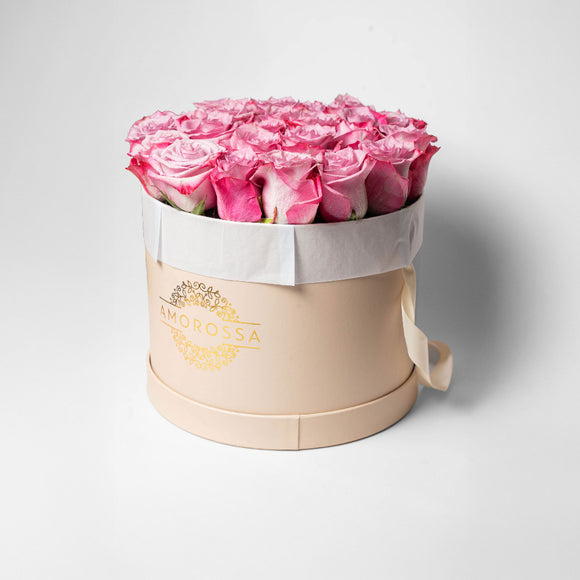 SAGOL 24 - Cream Box