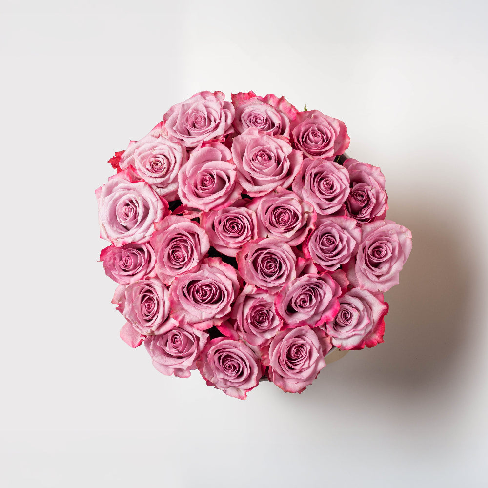 SAGOL 24 - Cream Box