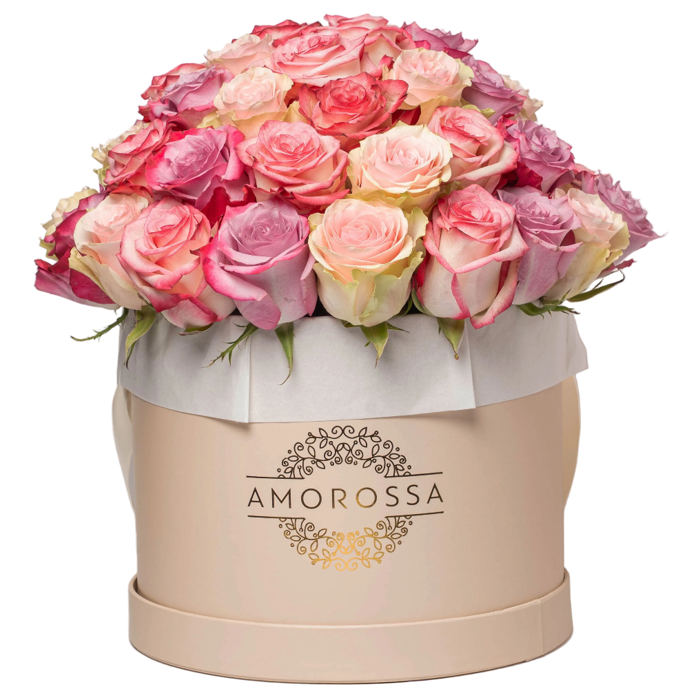 PRIMAVERA 36 - Cream Box