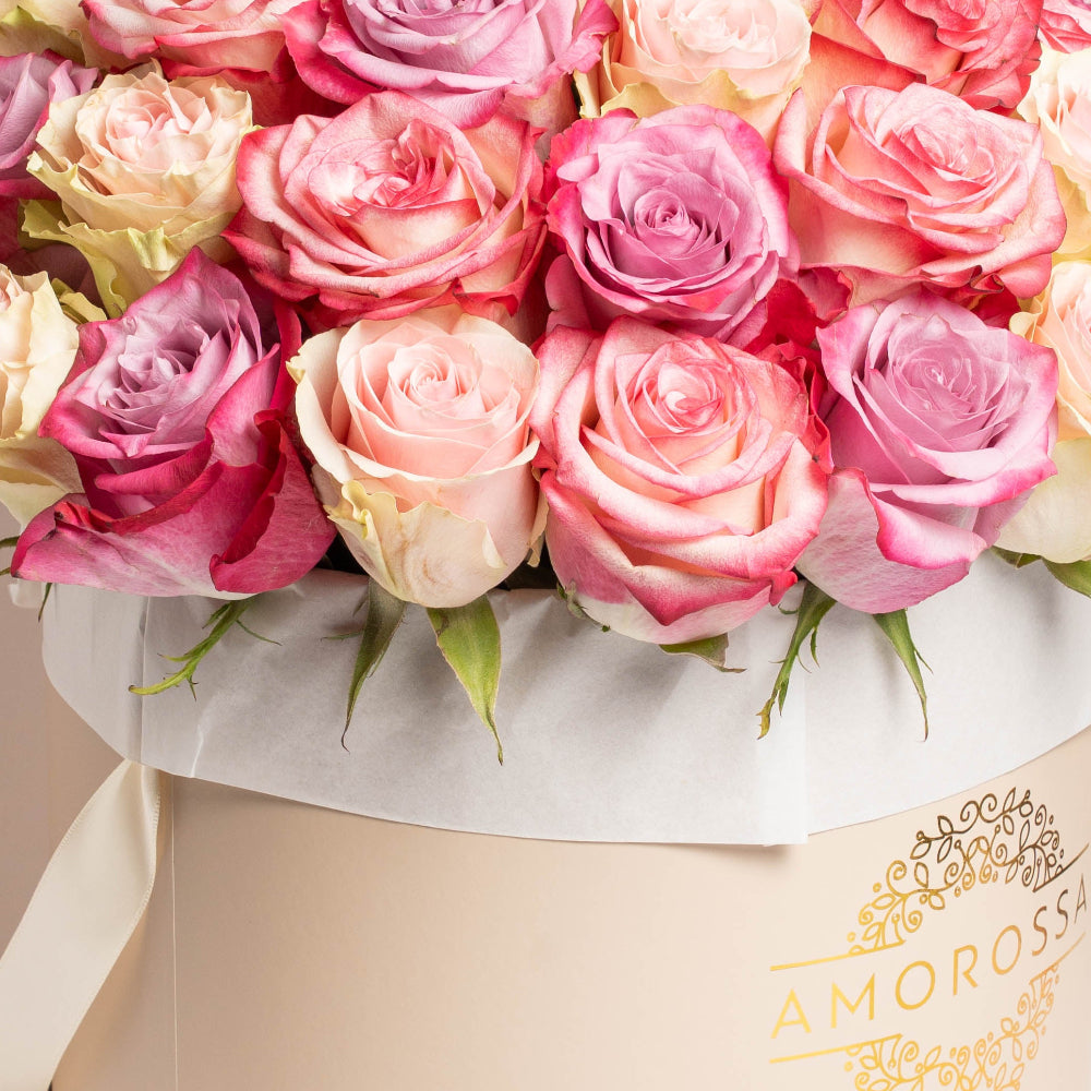 PRIMAVERA 36 - Cream Box