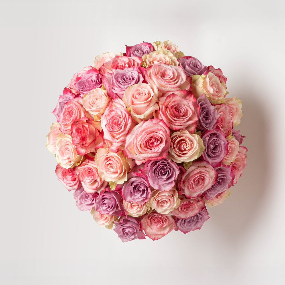 PRIMAVERA 36 - Cream Box