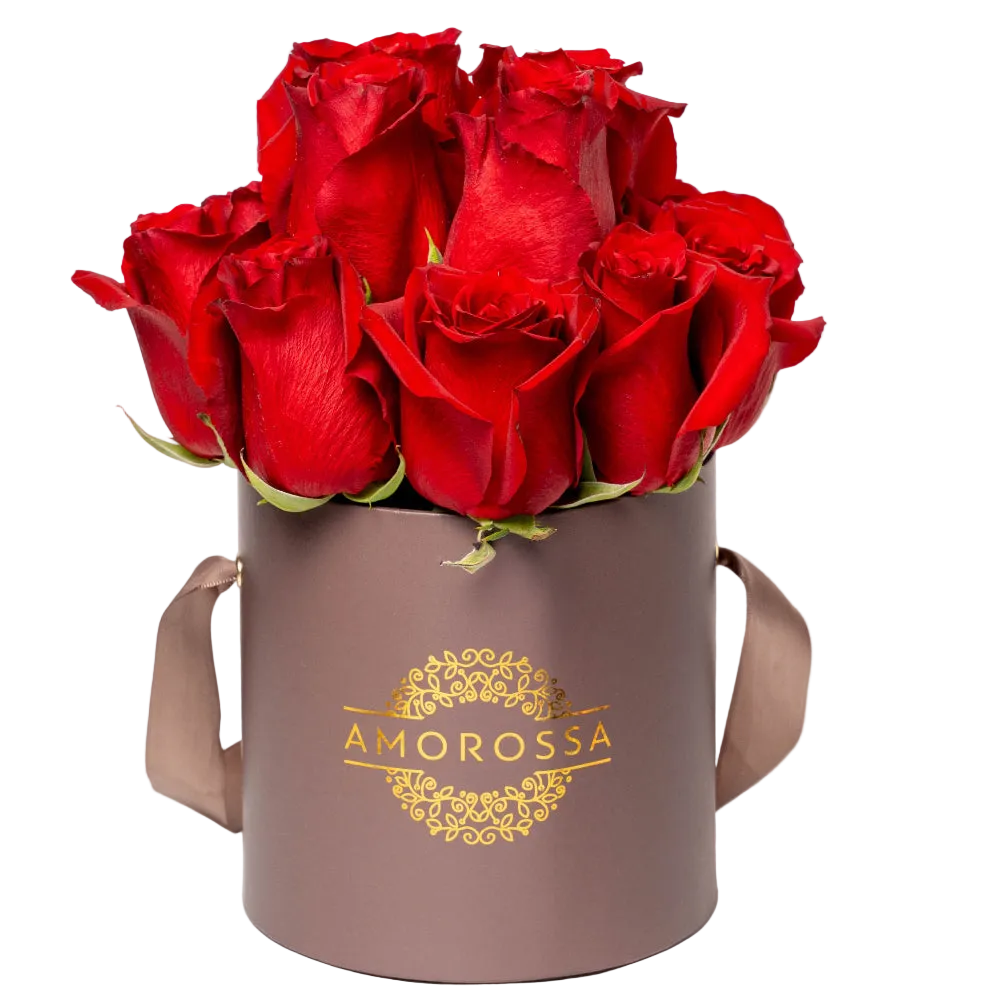 ADOM 12 - Brown Box