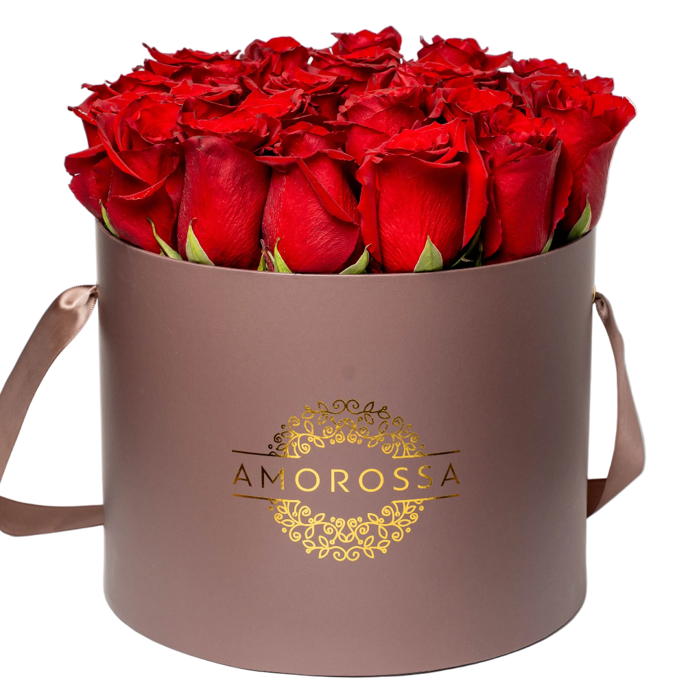 ADOM 24 - Brown Box