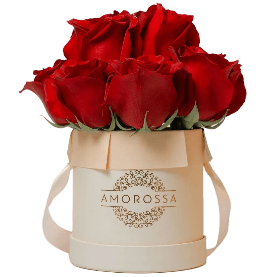 Regala ADOM 12 Pink Box - AMOROSSA