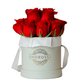 Regala ADOM 12 - AMOROSSA