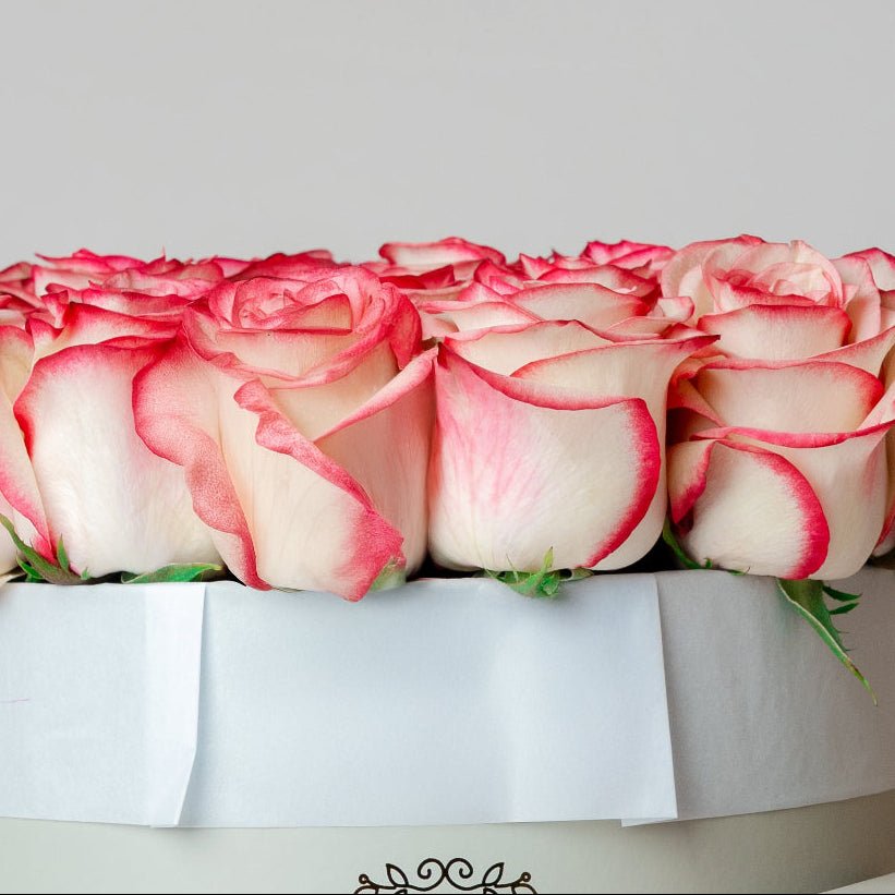 Regala Amorossa Sweet & Blossom Set - AMOROSSA