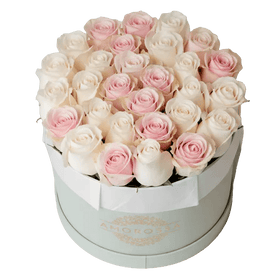 AMOROSSA - AVIV 24 - Round white box filled with 24 white and pale pink roses, elegant flower arrangement for regalar flores and mandar rosas.
