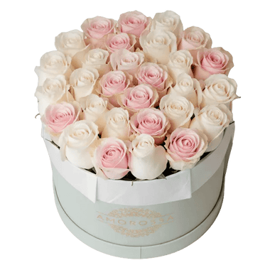 AMOROSSA - AVIV 24 - Round white box filled with 24 white and pale pink roses, elegant flower arrangement for regalar flores and mandar rosas.
