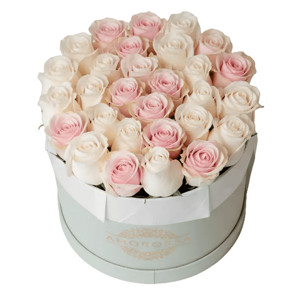 AMOROSSA - AVIV 24 - Round white box filled with 24 white and pale pink roses, elegant flower arrangement for regalar flores and mandar rosas.