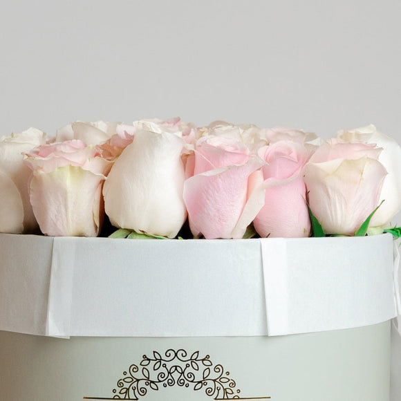 AMOROSSA - AVIV 24 - Round white box filled with 24 white and pale pink roses, elegant flower arrangement for regalar flores and mandar rosas.