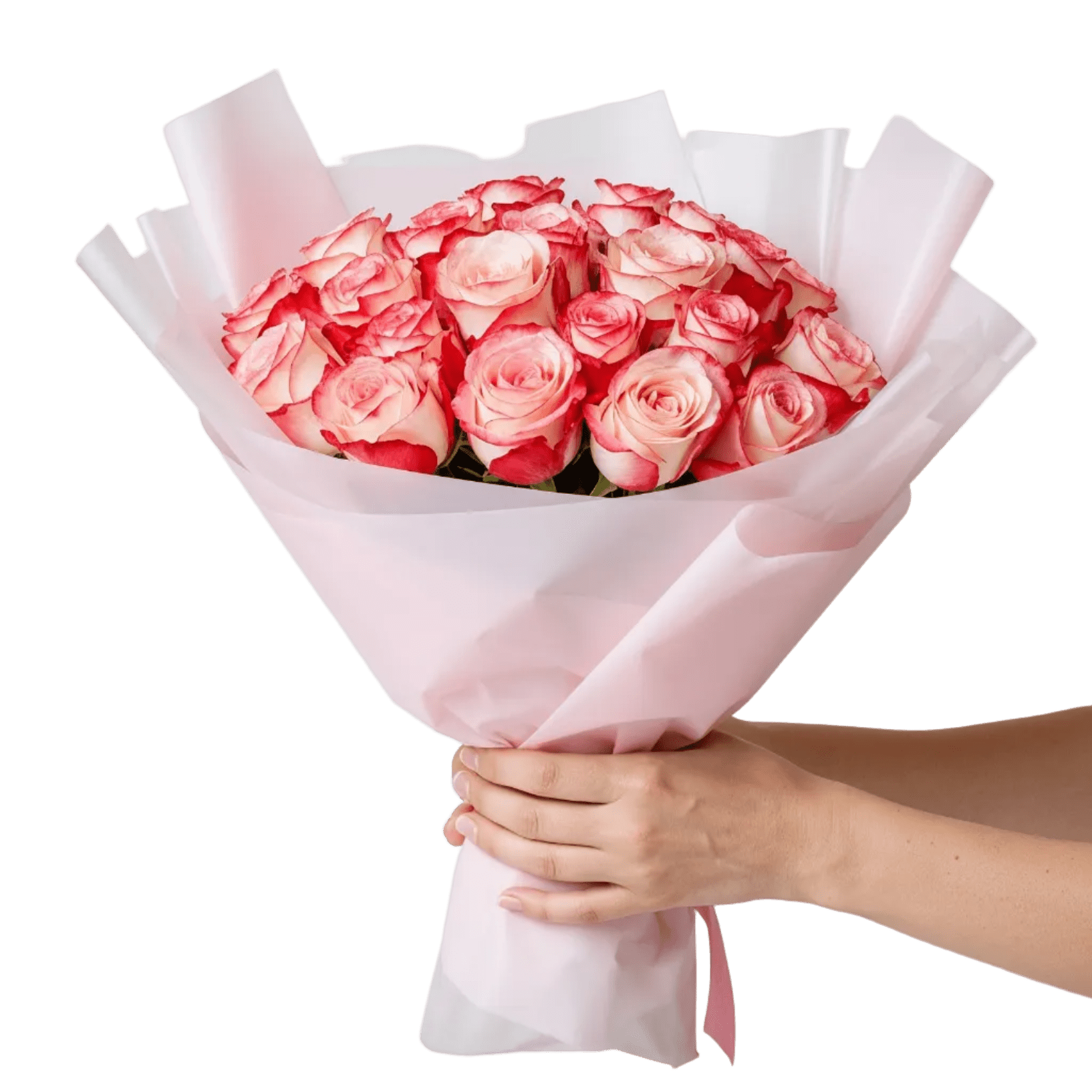 Regala Bouquet 24 Pure Blush - AMOROSSA