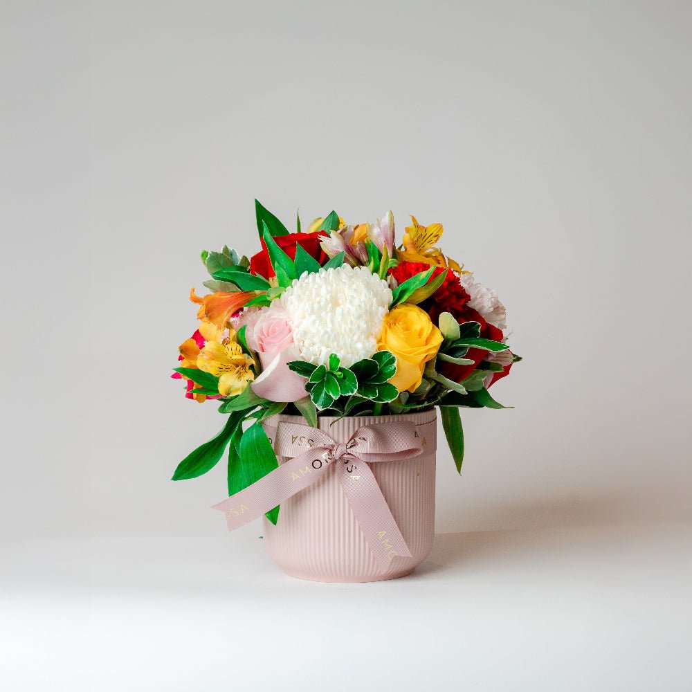 Regala Carnaval 12 Ceramic - AMOROSSA