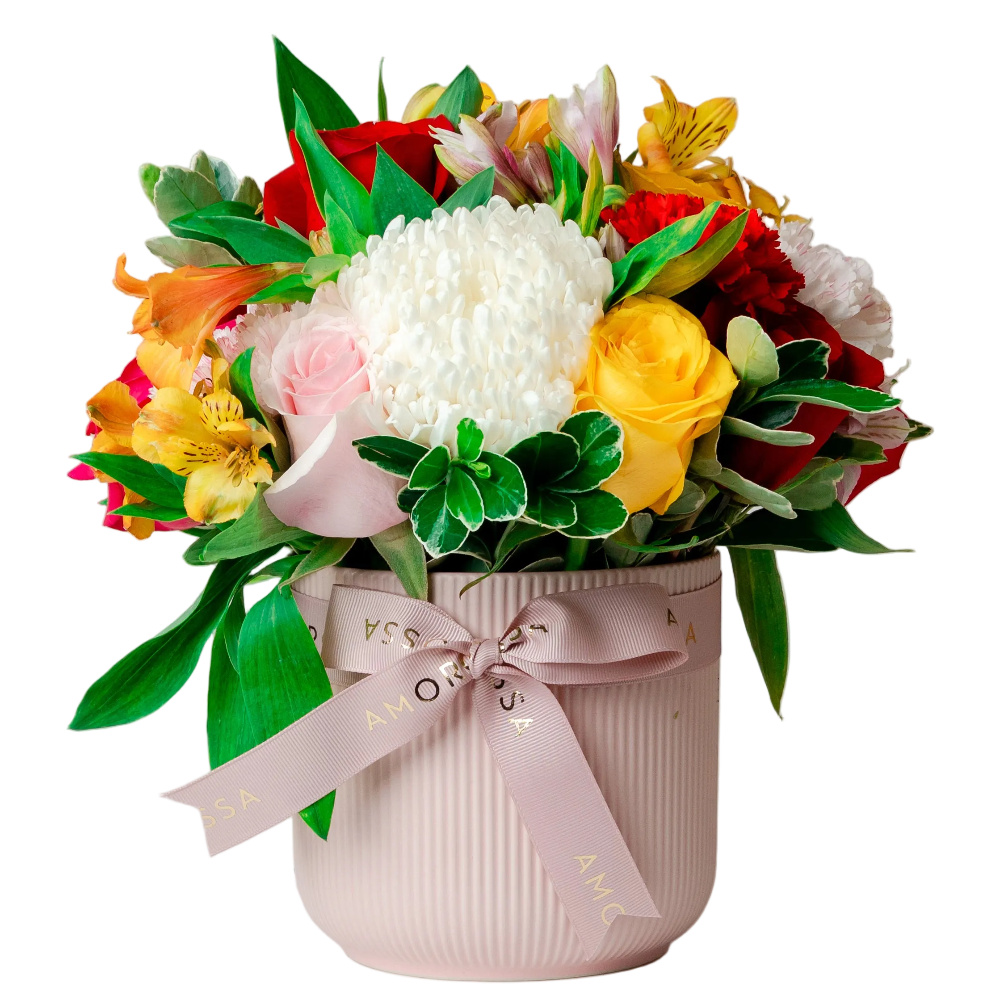 Regala Carnaval 12 Ceramic - AMOROSSA