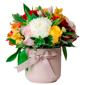 Regala Carnaval 12 Ceramic - AMOROSSA