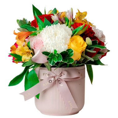 Regala Carnaval 12 Ceramic - AMOROSSA