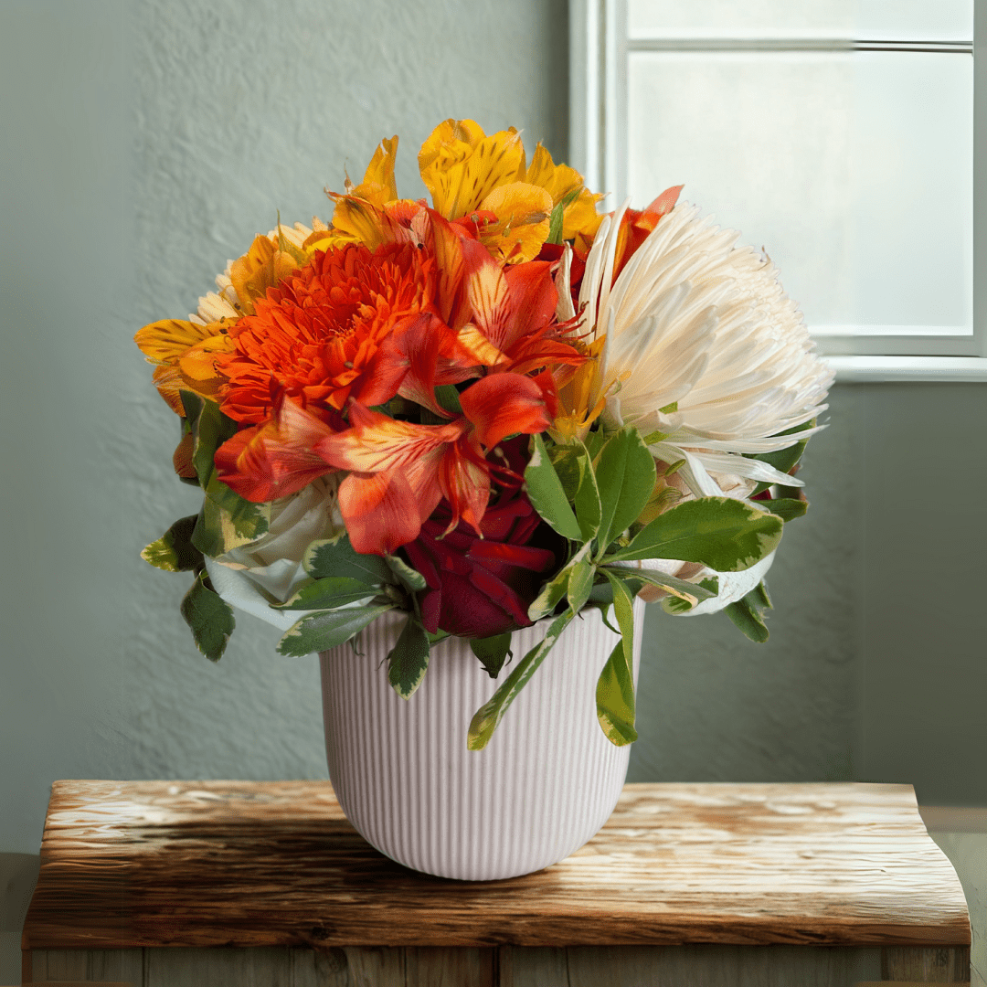 Regala Carnaval 12 - Mothers Day Special Edition - AMOROSSA