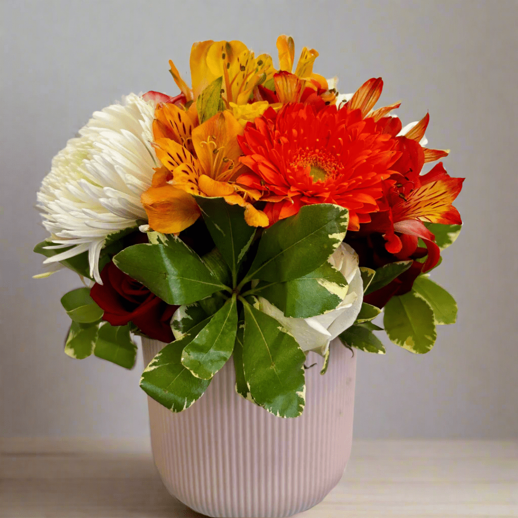 Regala Carnaval 12 - Mothers Day Special Edition - AMOROSSA