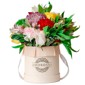 Regala Carnaval 12 Pink Box - AMOROSSA