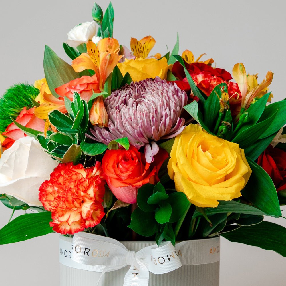 Regala Celebration 24 Ceramic - AMOROSSA