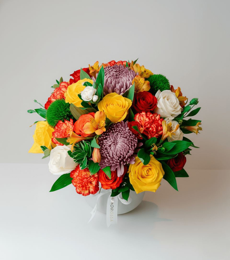 Regala Celebration 24 Ceramic - AMOROSSA