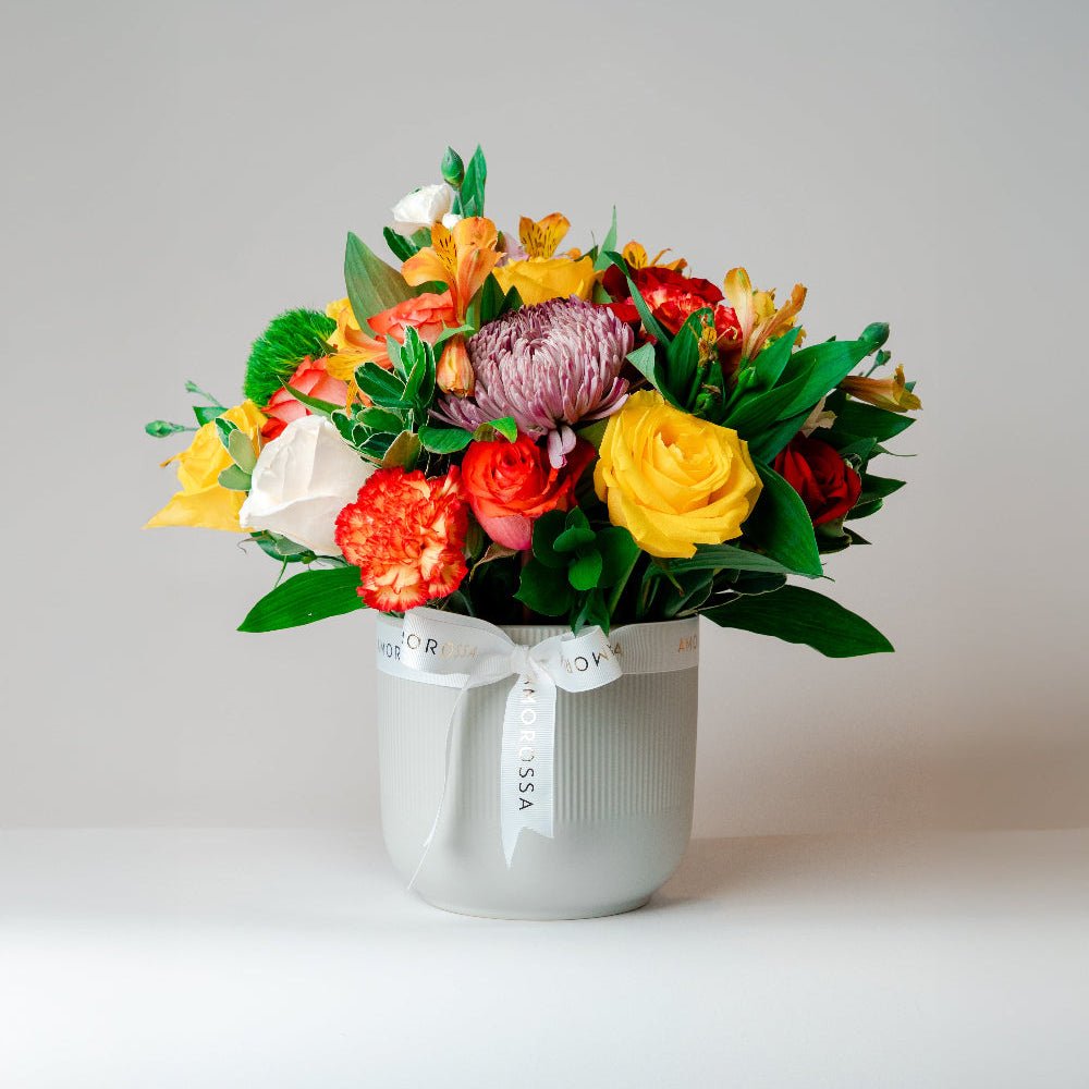 Regala Celebration 24 Ceramic - AMOROSSA