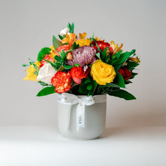 Regala Celebration 24 Ceramic - AMOROSSA