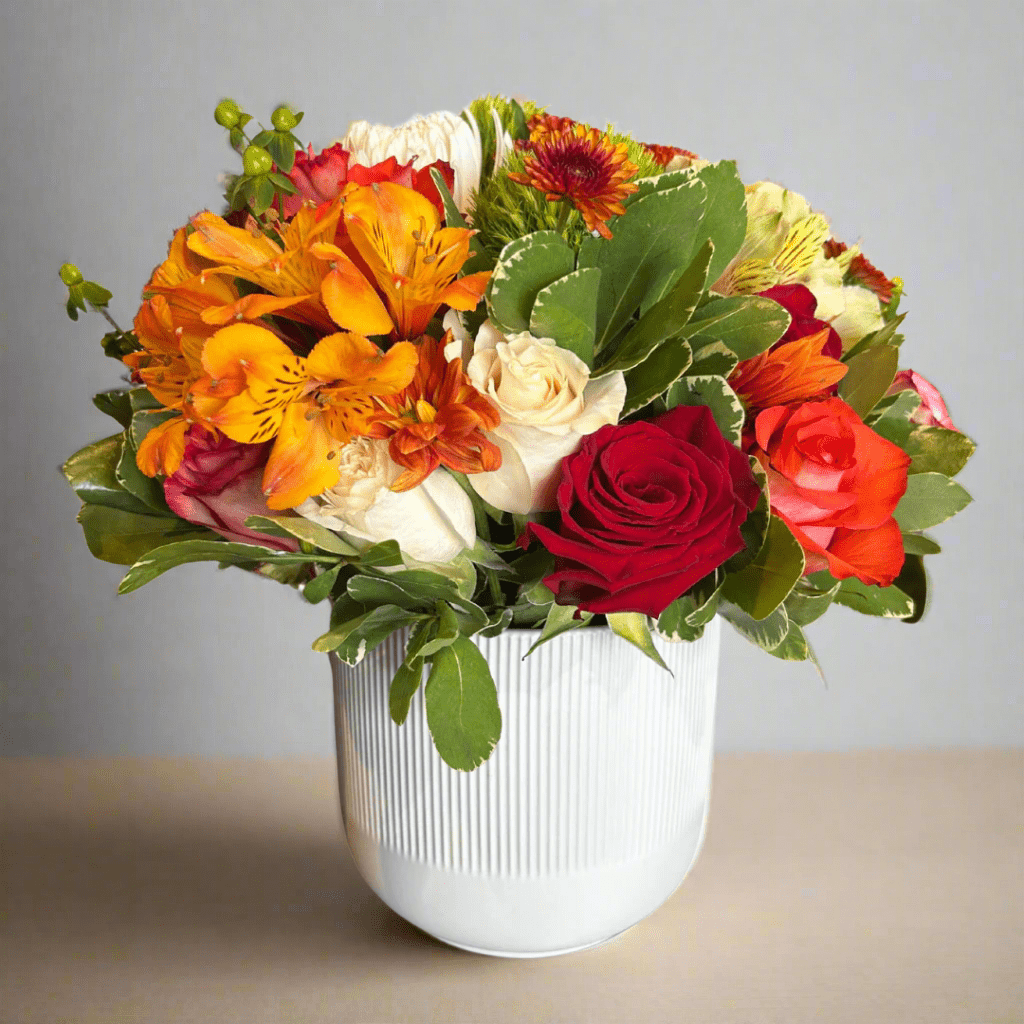 Regala Celebration 24 - Mothers day special edition - AMOROSSA