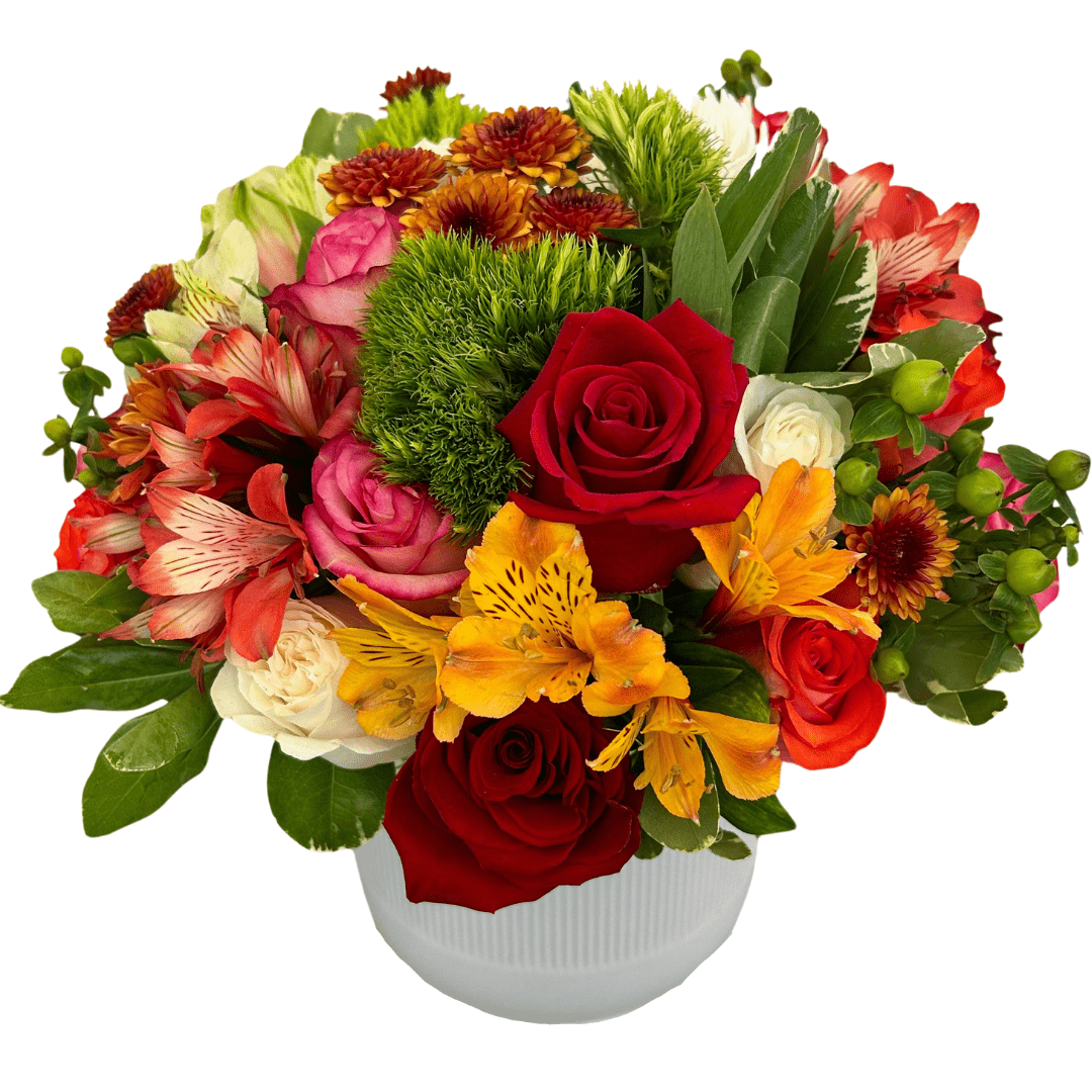 Regala Celebration 24 - Mothers day special edition - AMOROSSA