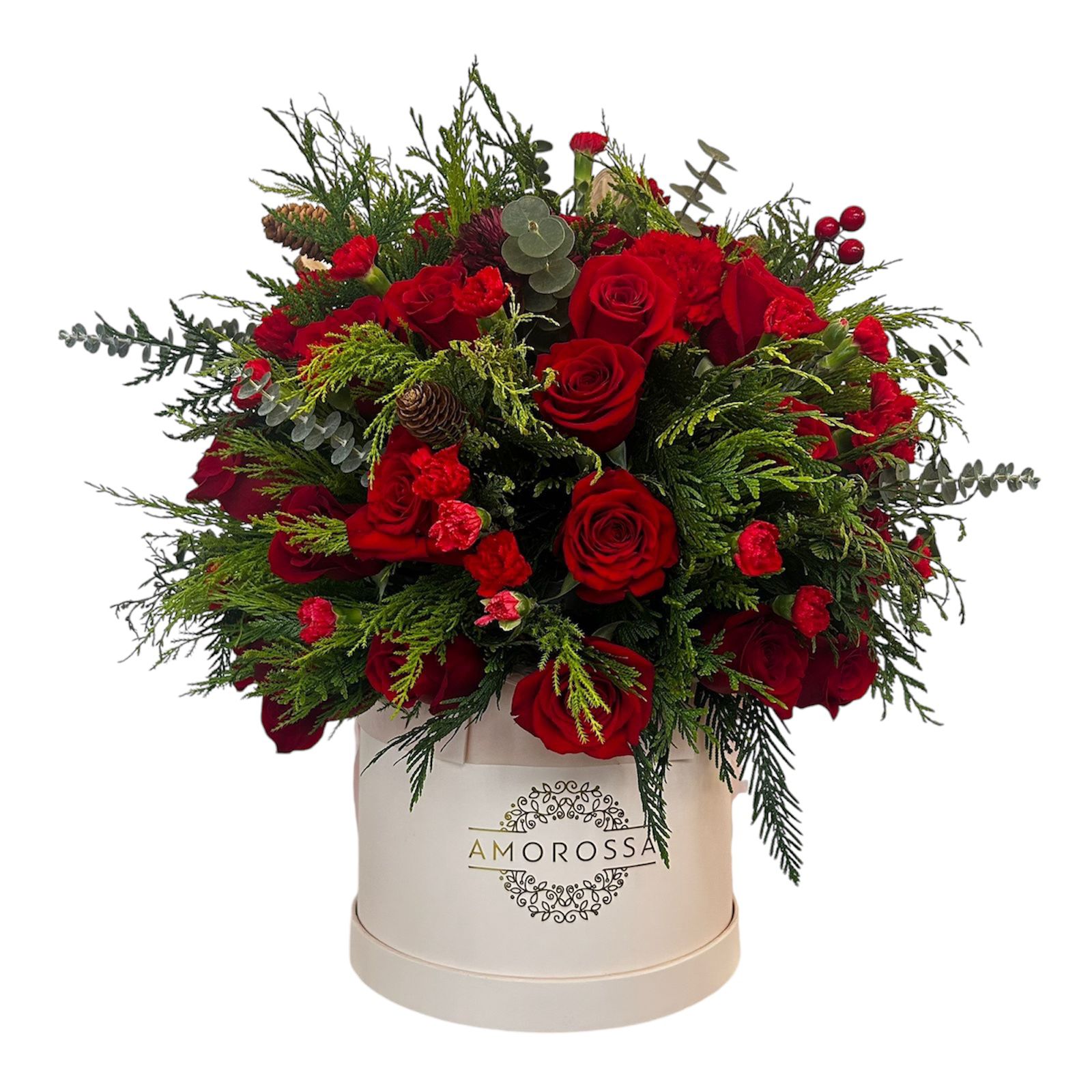 Regala Extravaganza Xmas - AMOROSSA