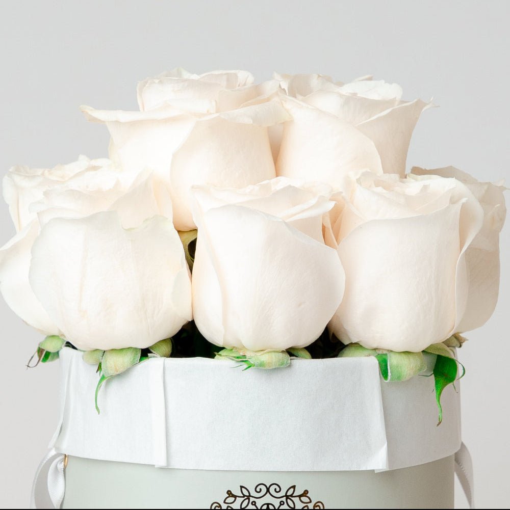 AMOROSSA - LAVAN 12 - Twelve elegant white roses arranged in a gray box, perfect to regalar flores or mandar rosas with fast delivery from.