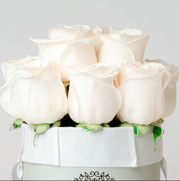 AMOROSSA - LAVAN 12 - Elegant white roses arranged in a gray round box with Amorossa logo, perfect to regalar flores and mandar rosas with.
