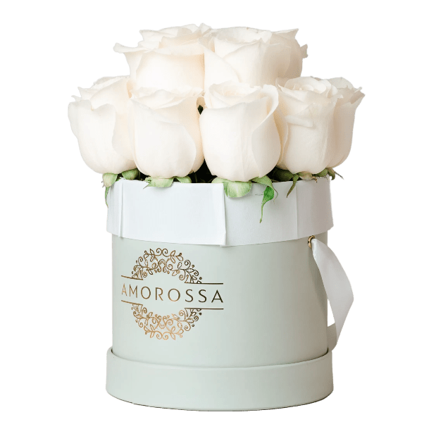 AMOROSSA - LAVAN 12 - Elegant white roses arranged in a gray round box with Amorossa logo, perfect to regalar flores and mandar rosas with.